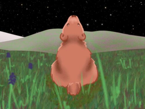 Little Bear is a popular planetarium show for under-7s inside the science centre.