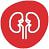Kidney icon.