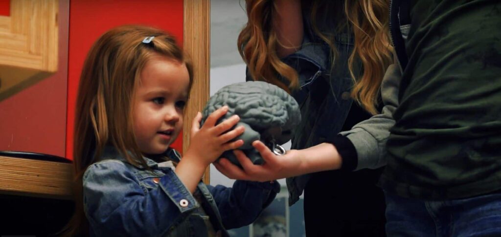 Little girl looking and touching a replica of a brain in Life Science Centre