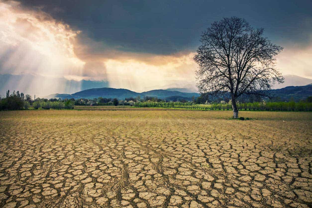 Life's climate challenge workshop covers the climate cycle with students. Image shows a parched Earth landscape with dehydrated soil and tree.