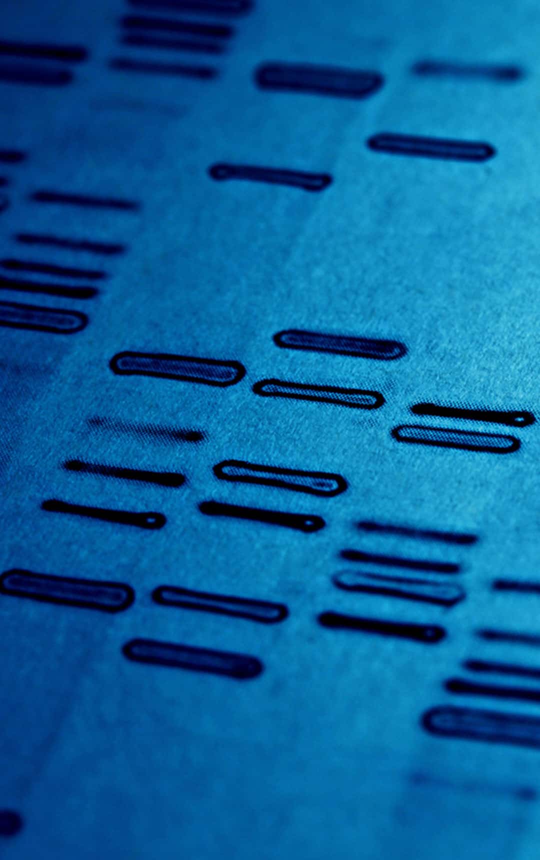 DNA fingerprints are covered in this key-stage-4 schools' workshop.