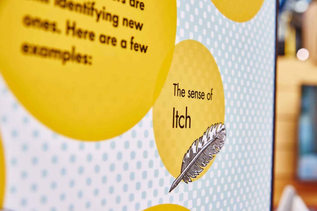 Learn About The Senses In Life Science Centre's Brain Zone.