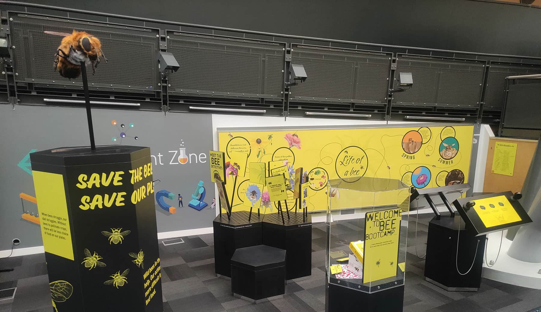 Photo of the various exhibits included in Life Science Centre's Buzzing about Bees Hub