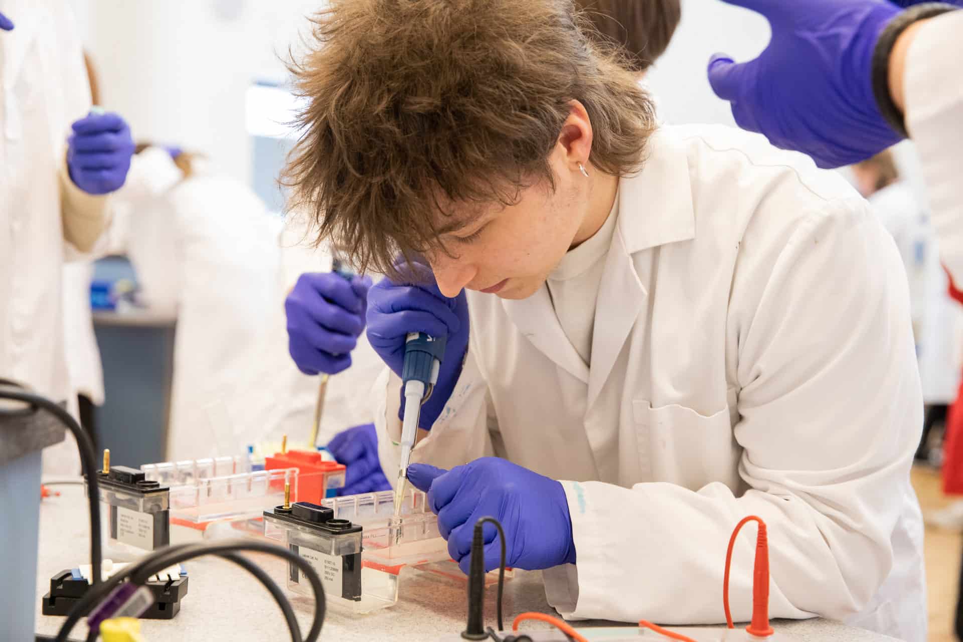 Male student uses pipette during PCR workshop in Life Science Centre education lab.