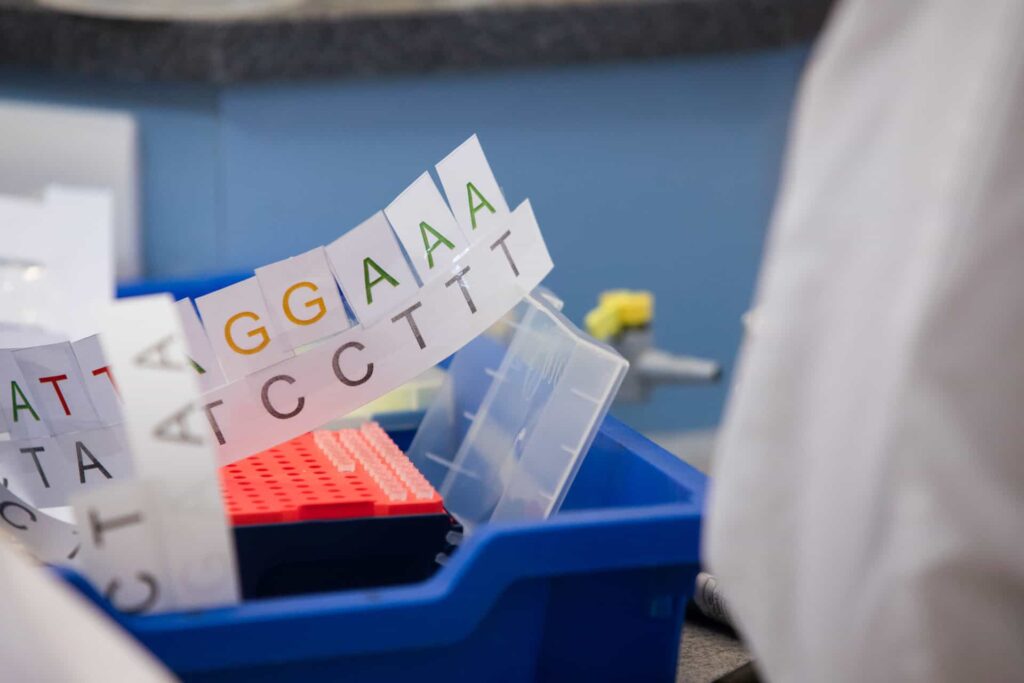 Genetic information for students on PCR Key Stage 4 Schools' Workshop.
