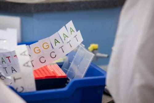 Genetic information for students on PCR Key Stage 4 Schools' Workshop.