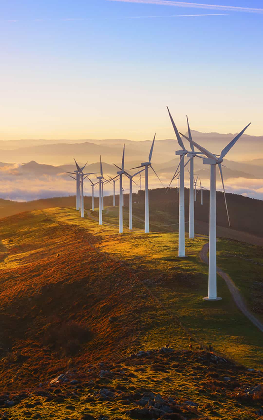 Wind Turbines are a topic covered on Life's journey of electricity schools' workshop.