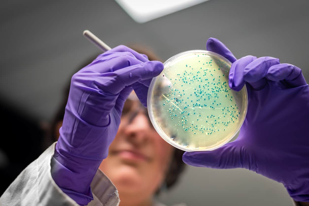 Bacterial culture plate examination by a female school student in Life Science Centre workshop laboratory.