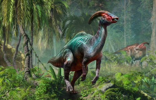 Parasaurolophus From The Cretaceous Era 3D Illustration