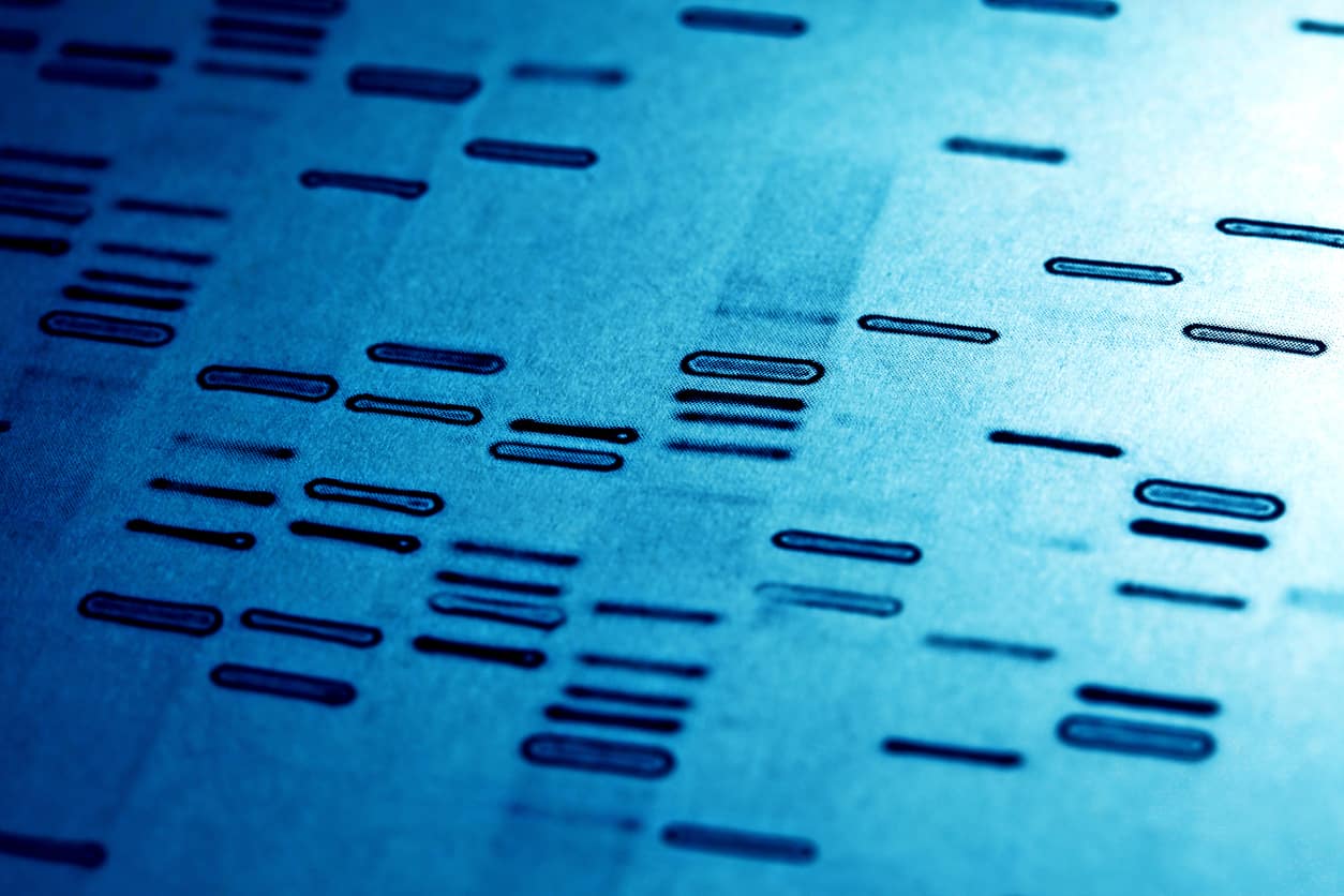 DNA fingerprints are covered in this key-stage-4 schools' workshop.
