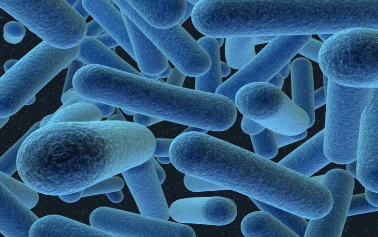 Bacterial cells floating on a black and blue background microscopic image.