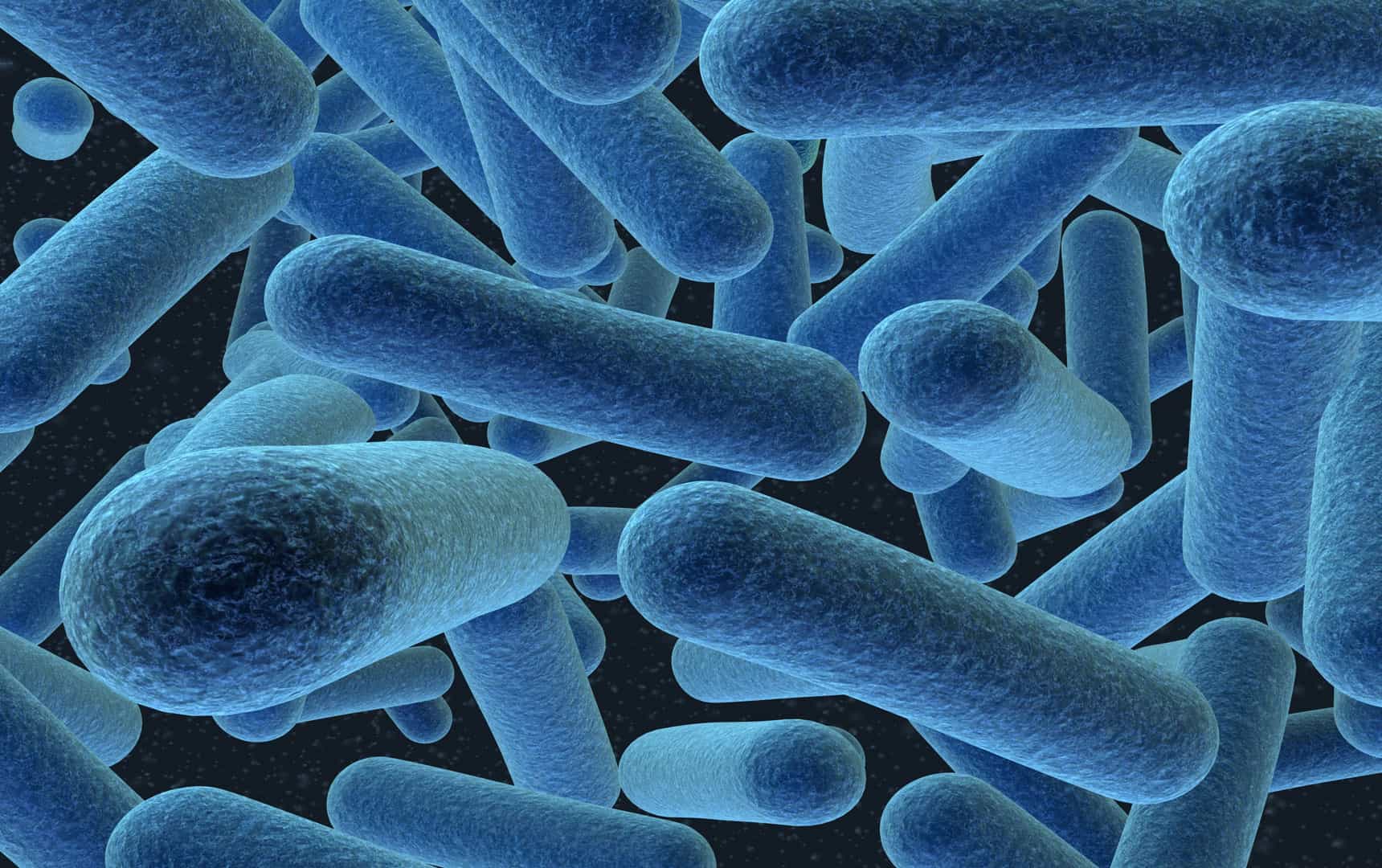 Bacterial cells floating on a black and blue background microscopic image.