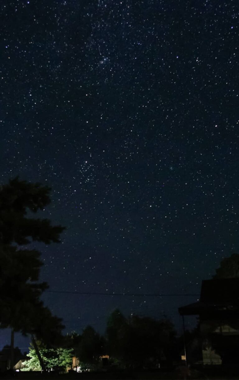 City stargazing at night.