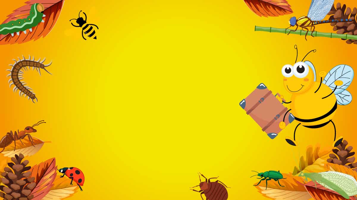 Life bee trail illustrations