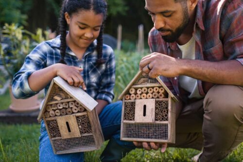 Happy Young Man With Small Sister Holding Bug Hotels Outdoors In Backyard.