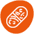Pill icon.