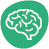Brain icon.
