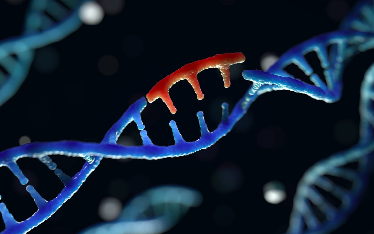 Genetic engineering picture.