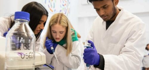 Students carrying out experiments in Life Lab.