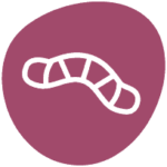 Worm icon.