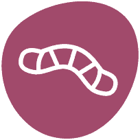 Worm icon.
