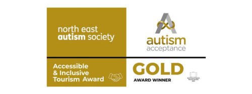 Accessibility and inclusion award wins