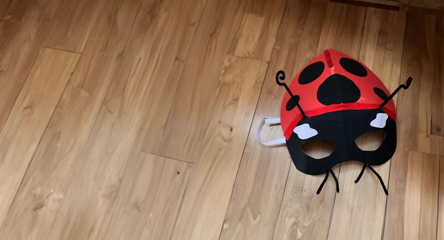 Minibeast activity mask of a ladybird
