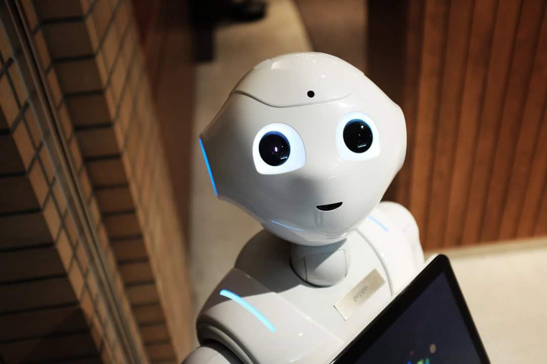 A white carebot looking up at camera.