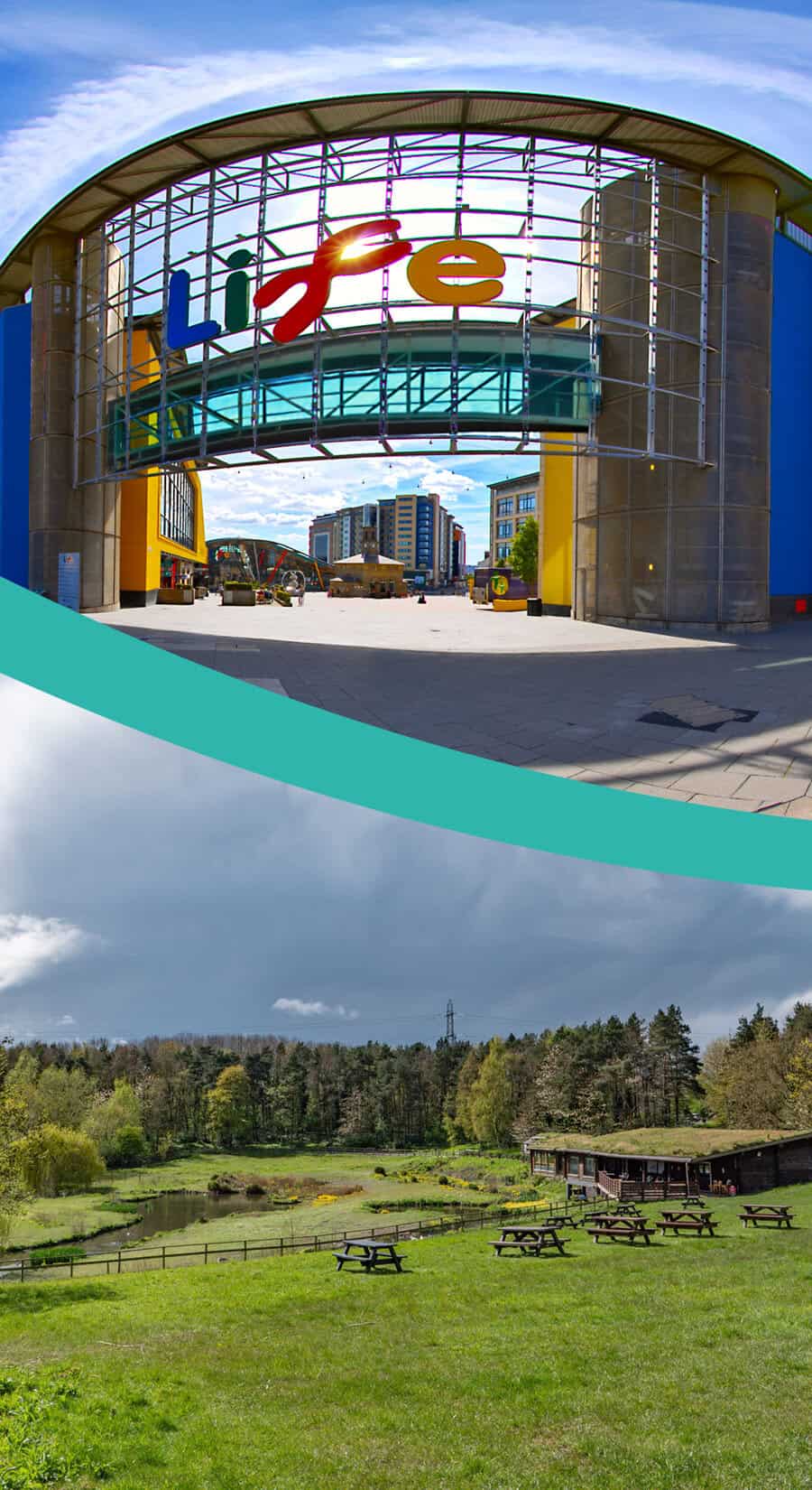 WWT Washington and Centre for Life