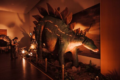 Animatronic stegosaurus at Newcastle's Life Science Centre