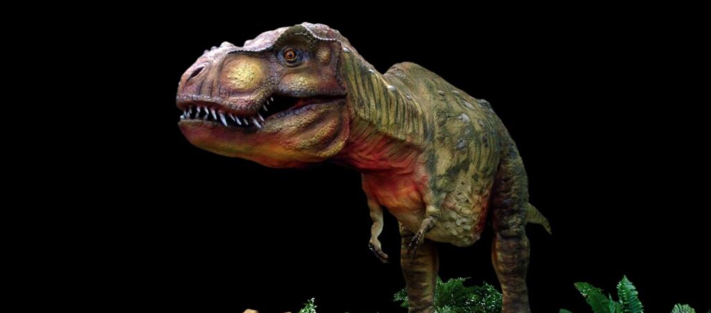 T. rex standing on a stony habitat with foliage