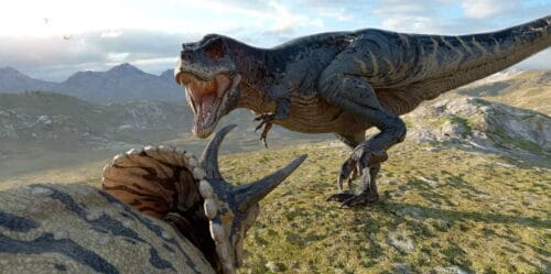 Tyrannosaurus and Triceratops from the Cretaceous era in a stand-off