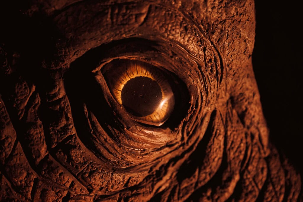 Close Up Of A T. Rex Eye At Newcastle's Life Science Centre