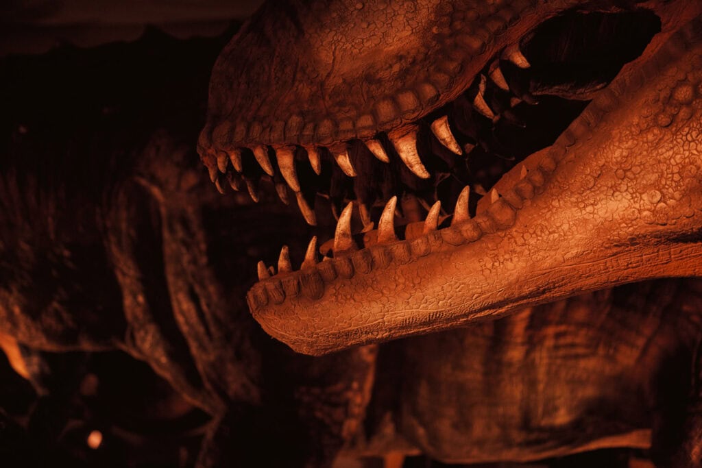 Close Up Shot Of T. Rex Teeth At Newcastle's Life Science Centre