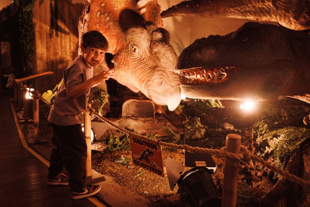 Little boy looking excited next to a moving animatronic T. rex