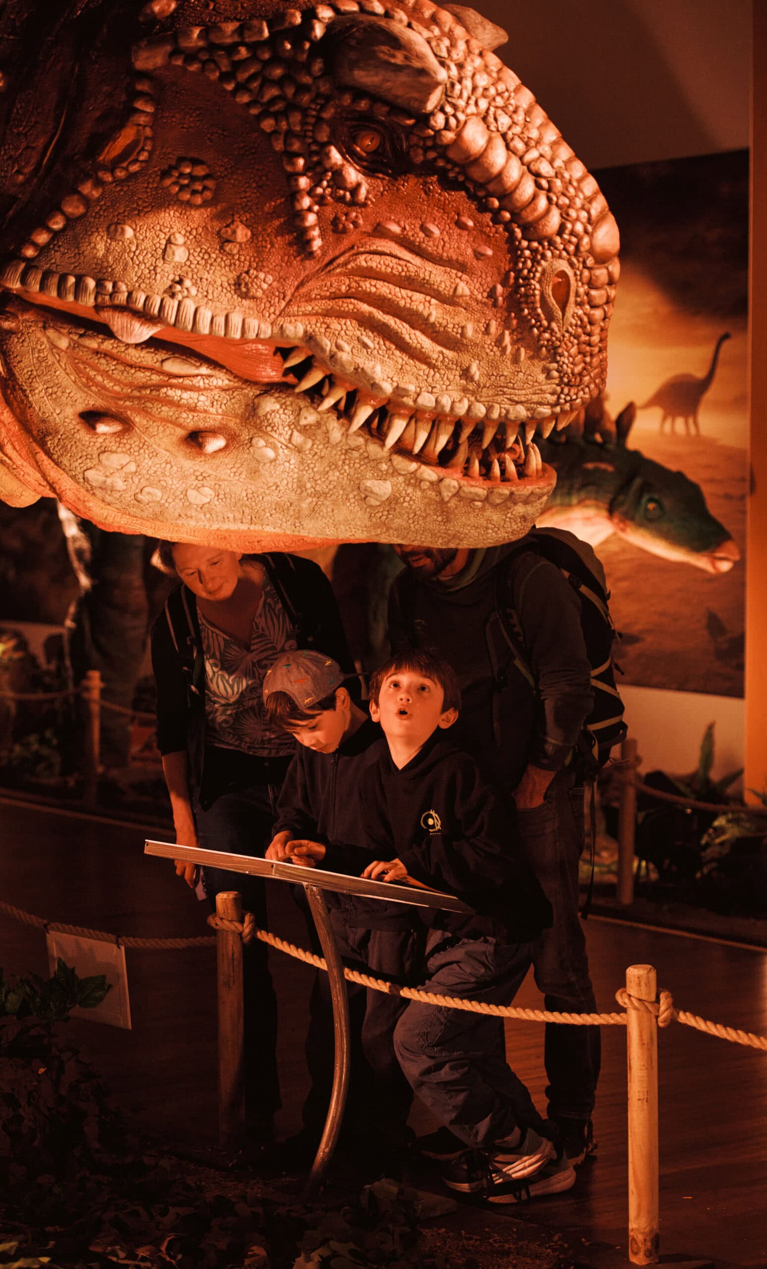Little boy looking up amazed at dinosaur.