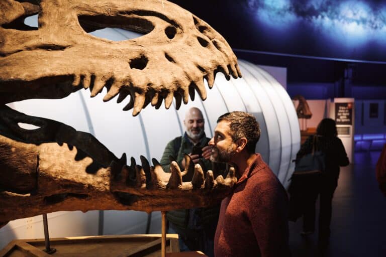 Adult man looking into giant dinosuar fossil replica in Life Science Centre's Space Zone.
