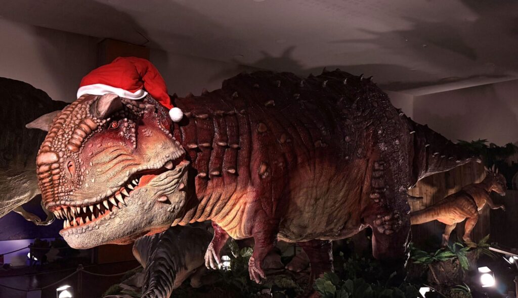 Huge Carnotaurus model dinosaur wearing a santa hat in Newcastle' Life Science Centre.